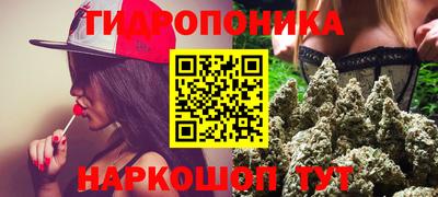 спайс Будённовск