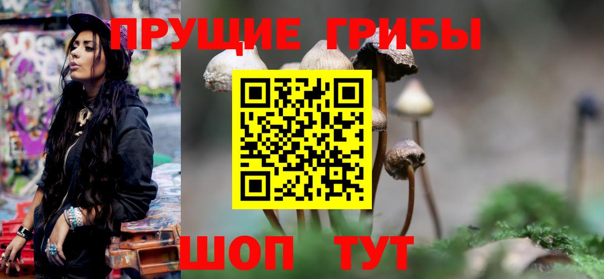 Псилоцибиновые грибы Psilocybine cubensis  что такое   Печора  Вход с VPN 