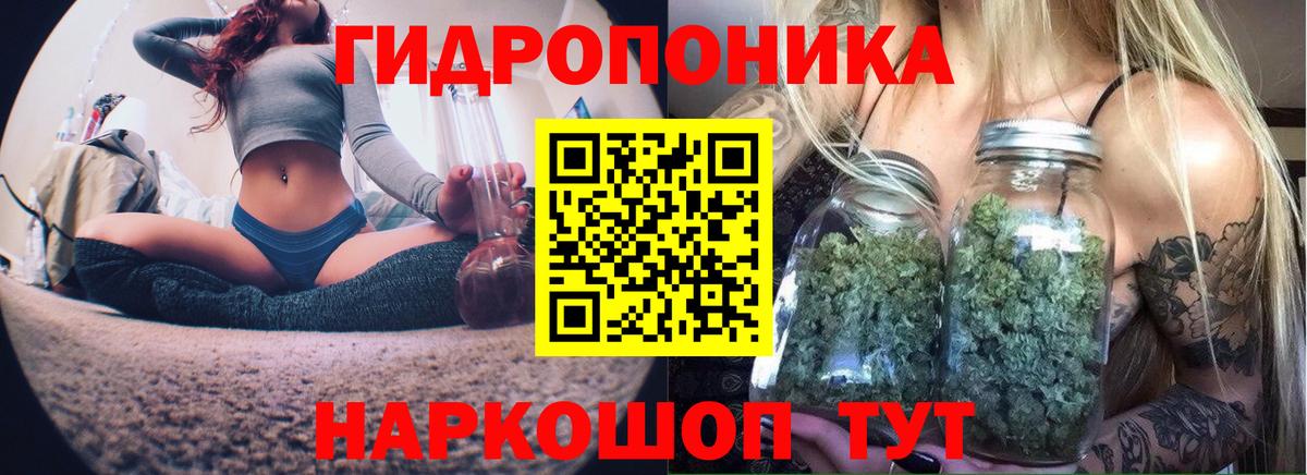 Марихуана Bruce Banner  Бошки Шишки семена  Вход с VPN  МАРИХУАНА гибрид  Печора  МАРИХУАНА VHQ 